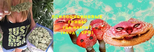 не бодяженный Богданович