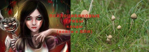 не бодяженный Богданович